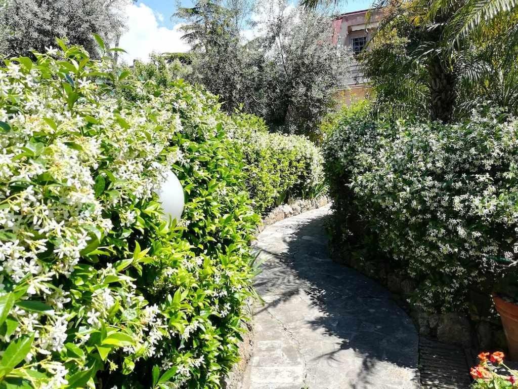 Ferienwohnung Casa Dinky Attico Con Terrazza Vista Mare Formia Exterior foto